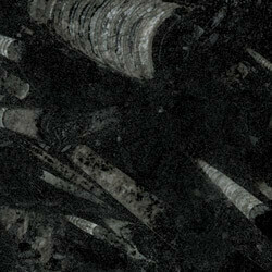 Nero Fossile