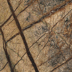Rain Forest Brown