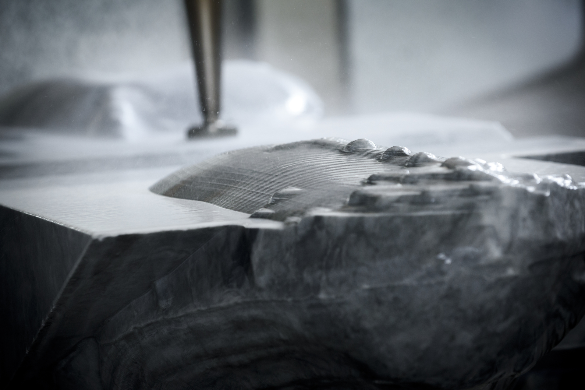 THE OCEAN PROJECT 15