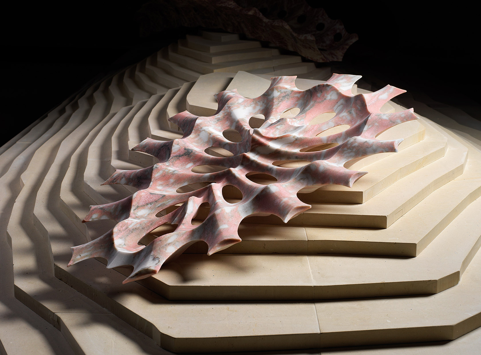 Next Creatures - una mostra di Raffaello Galiotto 7