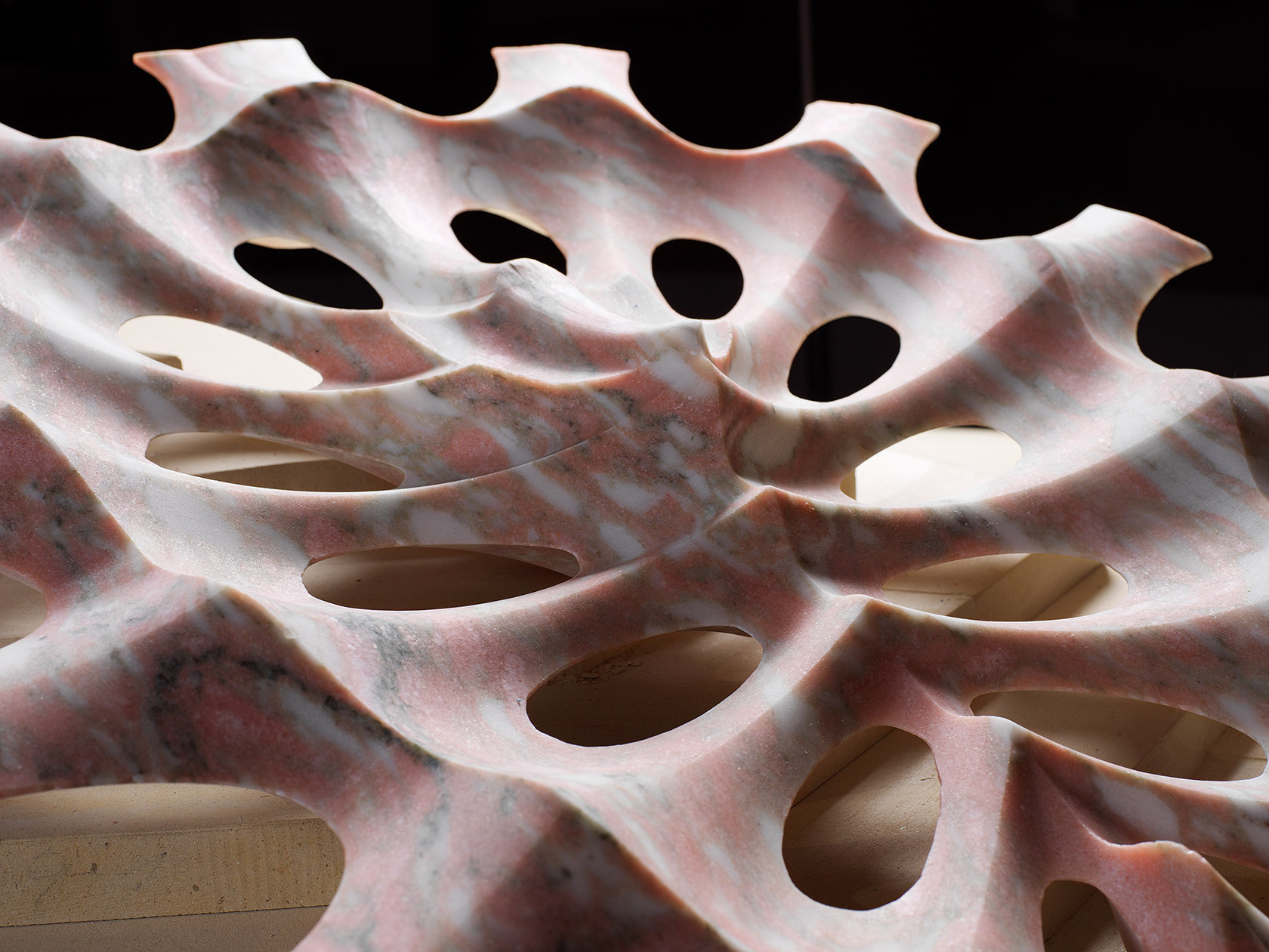 Next Creatures - una mostra di Raffaello Galiotto 10