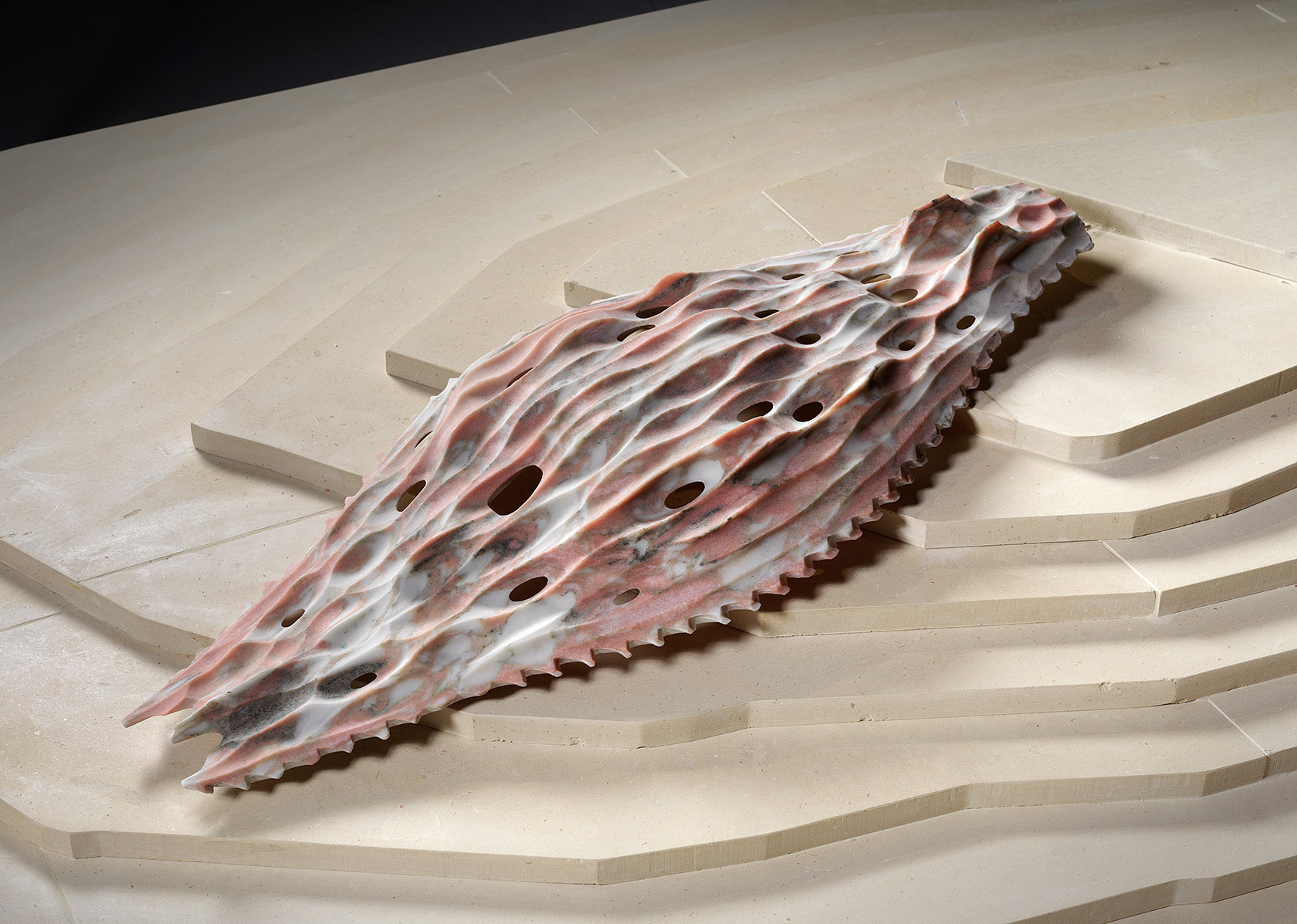 Next Creatures - una mostra di Raffaello Galiotto 9