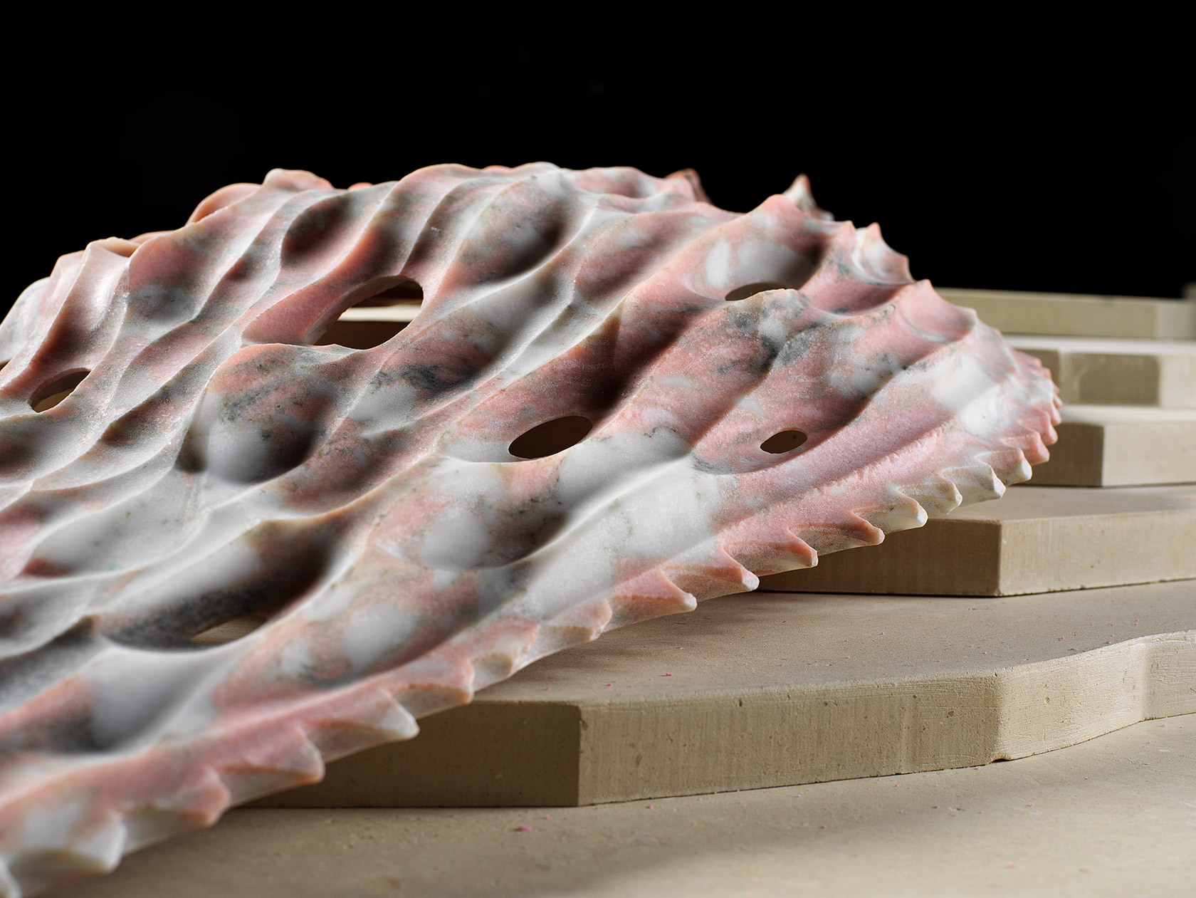 Next Creatures - una mostra di Raffaello Galiotto 12