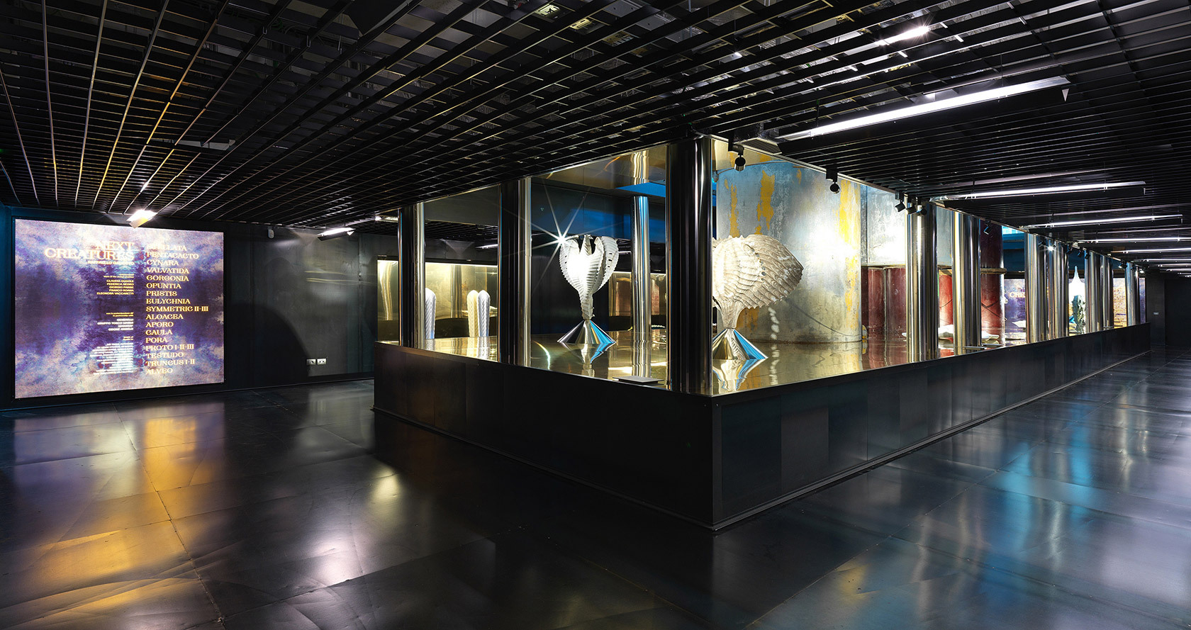 Next Creatures - una mostra di Raffaello Galiotto 1