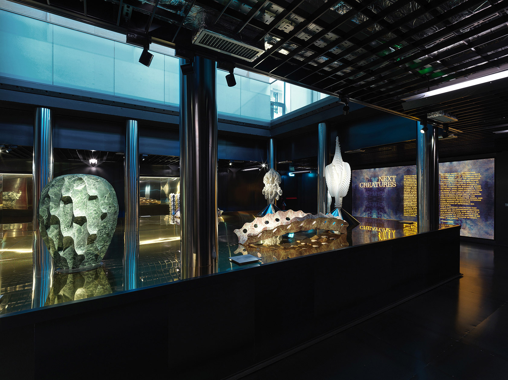 Next Creatures - una mostra di Raffaello Galiotto 2