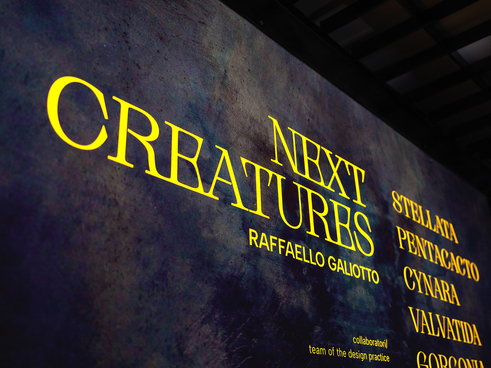Next Creatures - una mostra di Raffaello Galiotto 0